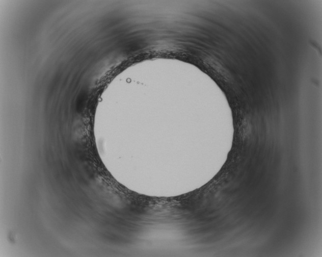 X0000103900824200809191236