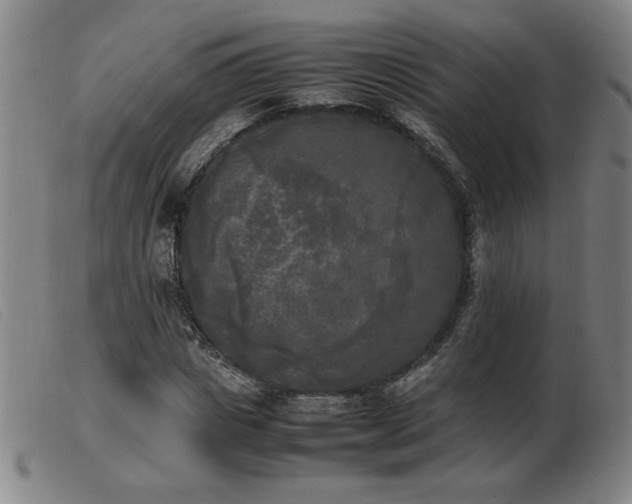 X0000103900825200809191236