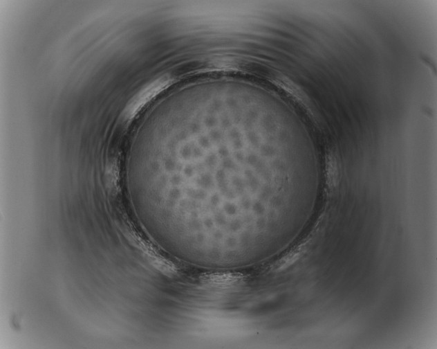 X0000103900826200809191236