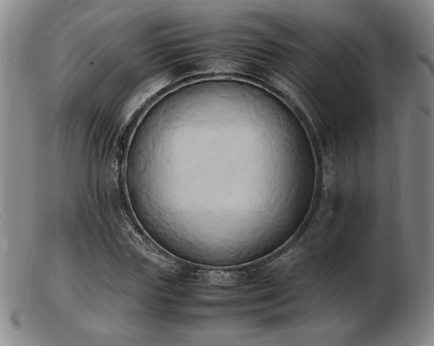 X0000103900827200809191236