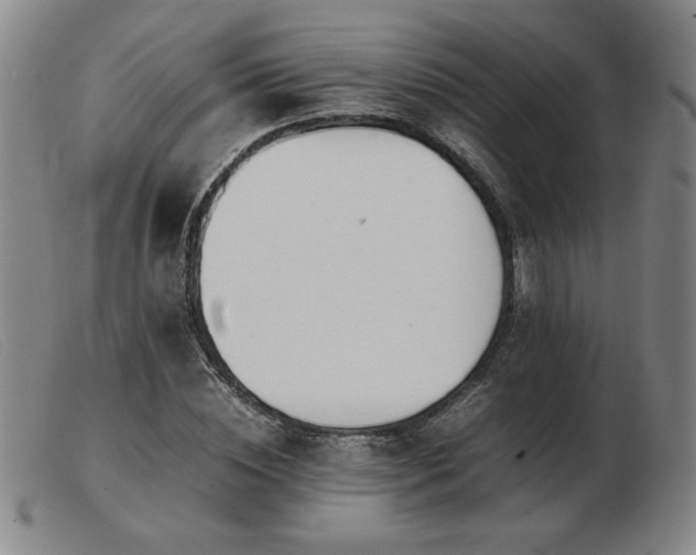 X0000103900828200809191236