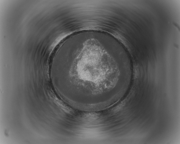 X0000103900830200809191236