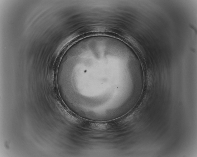X0000103900831200809191236