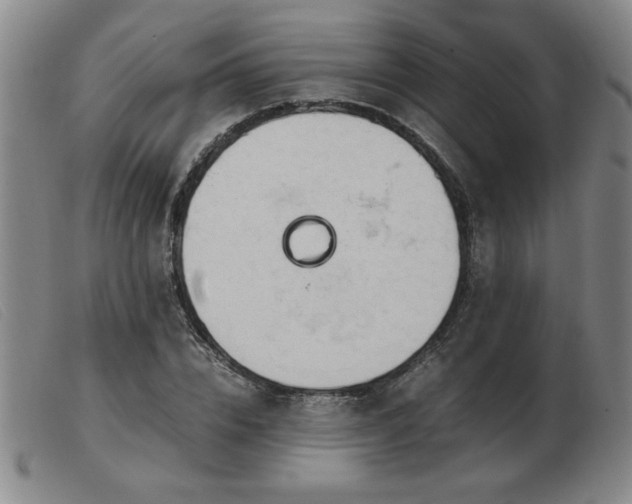 X0000103900832200809191236