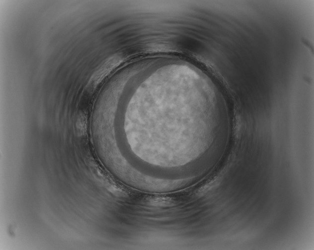 X0000103900833200809191236