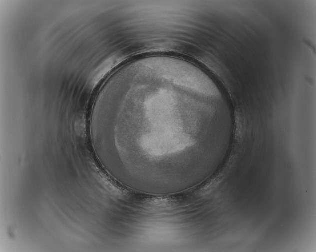 X0000103900834200809191236