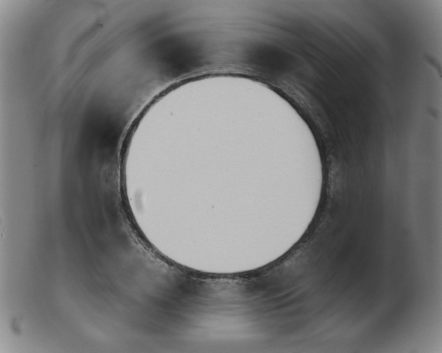 X0000103900836200809191236