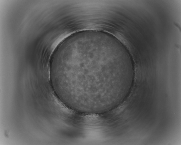 X0000103900838200809191236