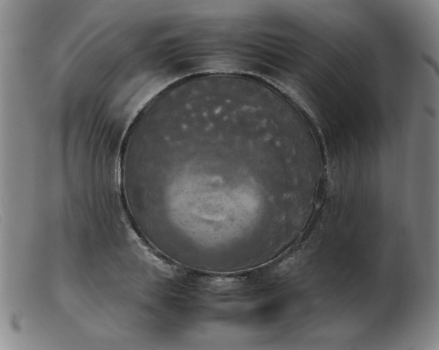 X0000103900839200809191236