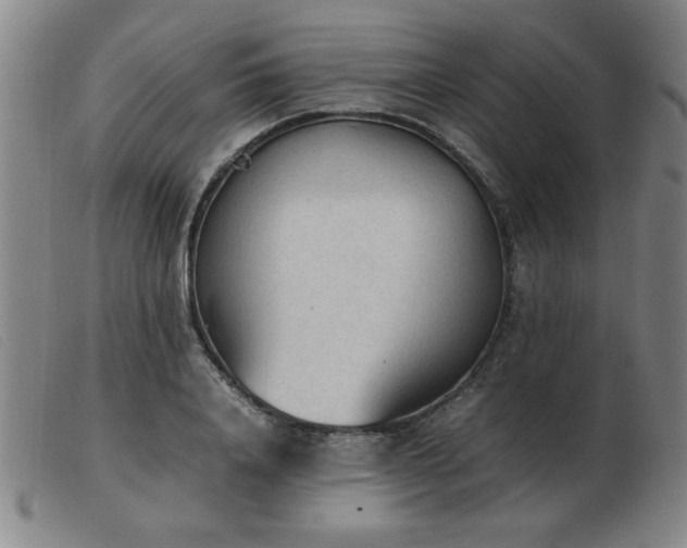 X0000103900840200809191236