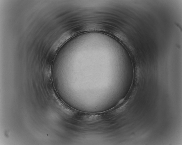 X0000103900841200809191236