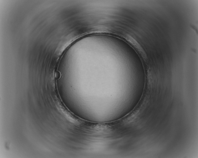X0000103900842200809191236