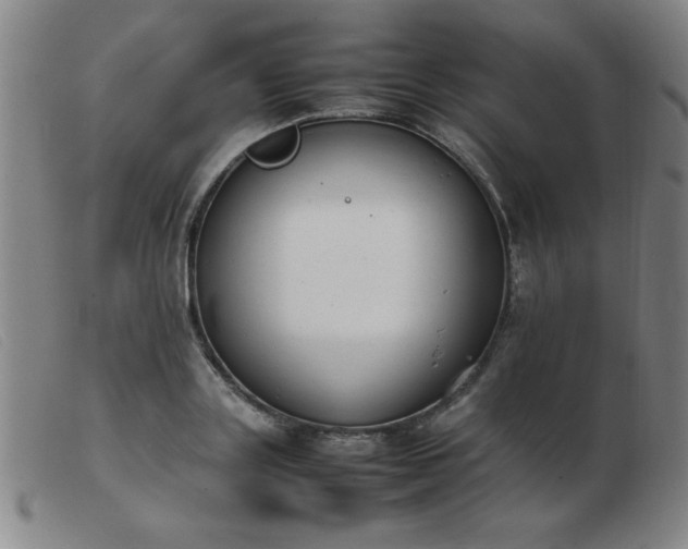 X0000103900843200809191236