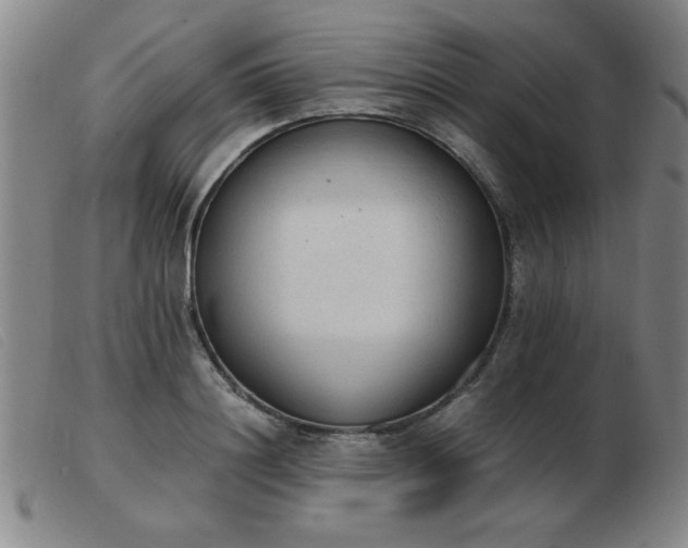 X0000103900844200809191236