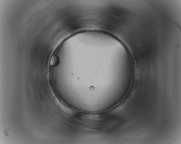 X0000103900845200809191236