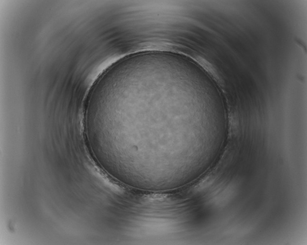 X0000103900846200809191236