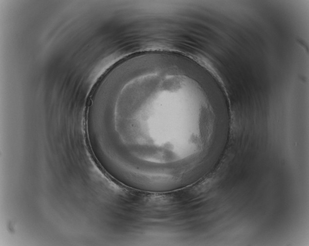 X0000103900847200809191236