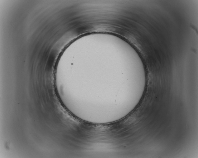 X0000103900848200809191236