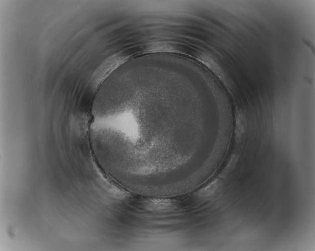 X0000103900849200809191236