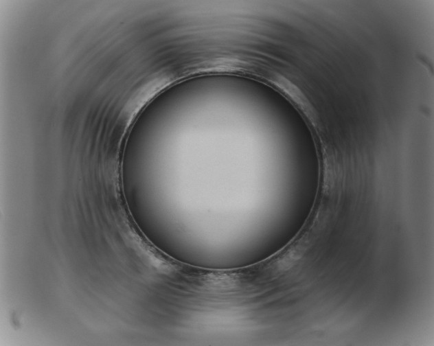 X0000103900850200809191236