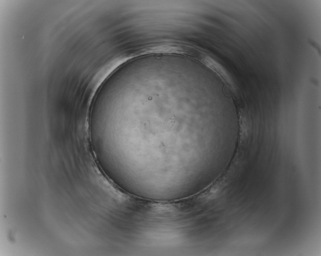 X0000103900852200809191236