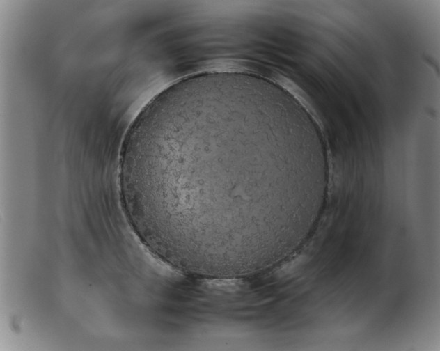 X0000103900853200809191236