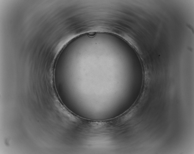 X0000103900854200809191236