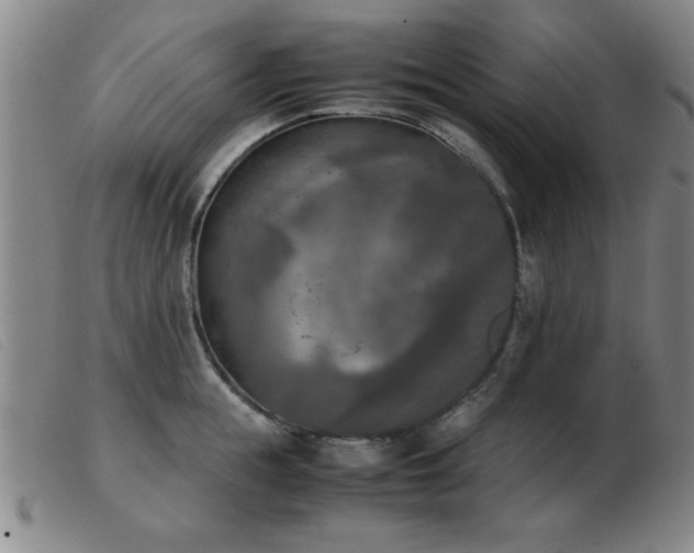 X0000103900855200809191237
