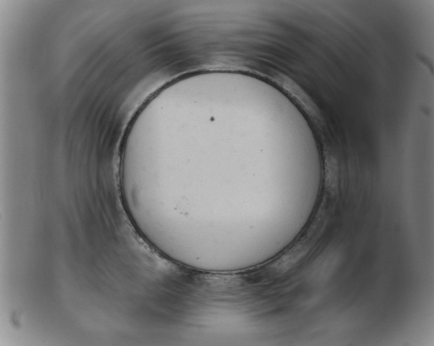 X0000103900856200809191237