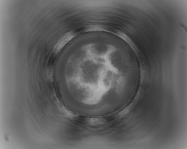 X0000103900857200809191237
