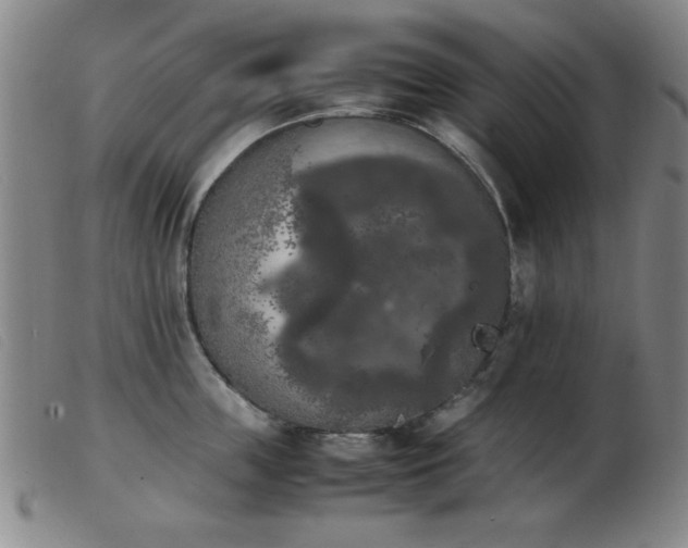 X0000103900859200809191237