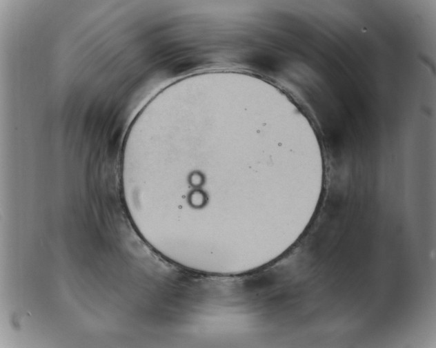X0000103900860200809191237