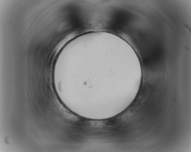 X0000103900861200809191237