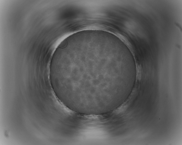 X0000103900862200809191237