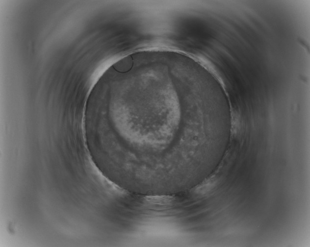X0000103900863200809191237