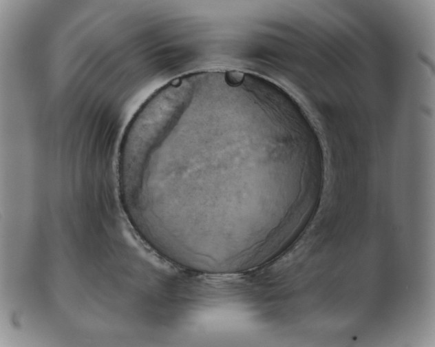 X0000103900864200809191237