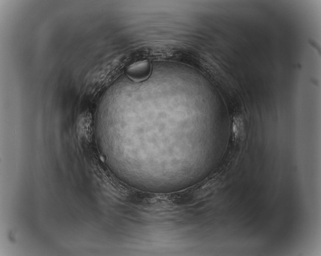 X0000103900867200809191236