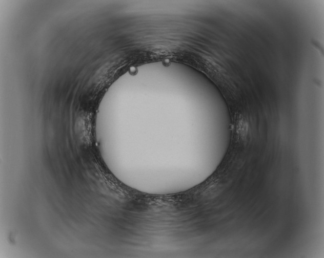 X0000103900868200809191236