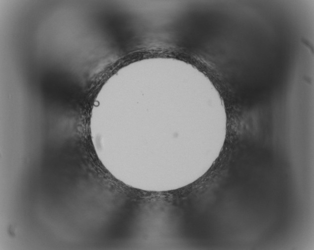 X0000103900869200809191236