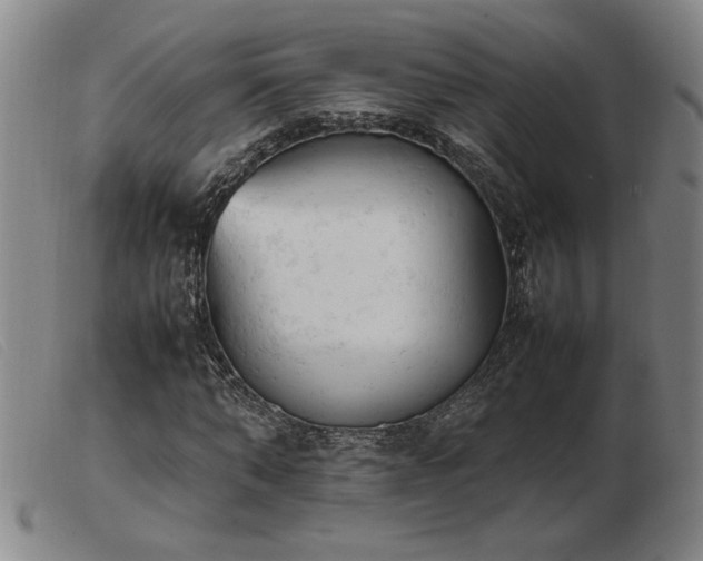 X0000103900870200809191236