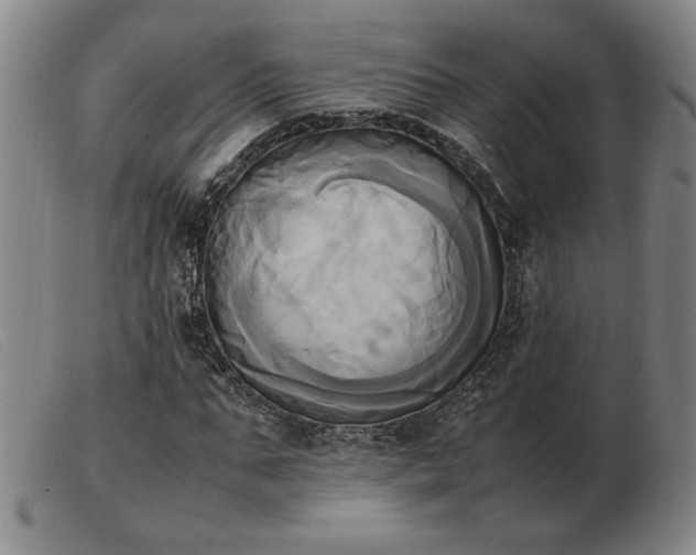 X0000103900871200809191236
