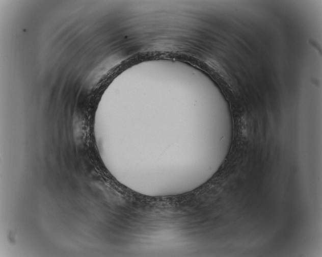 X0000103900872200809191236