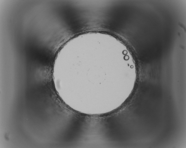 X0000103900873200809191236