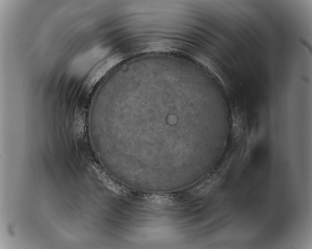 X0000103900874200809191236