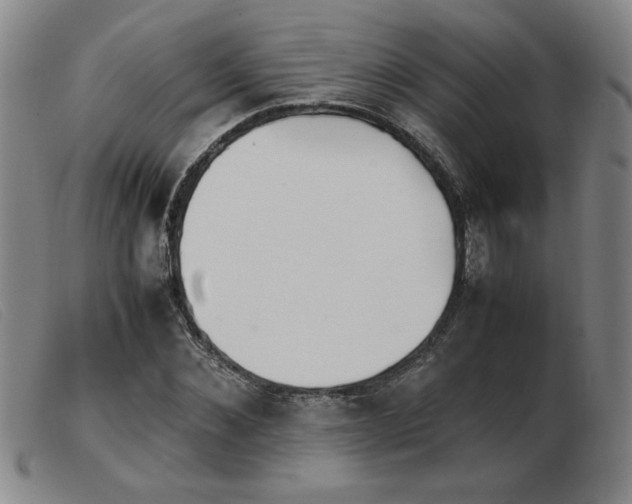 X0000103900876200809191236
