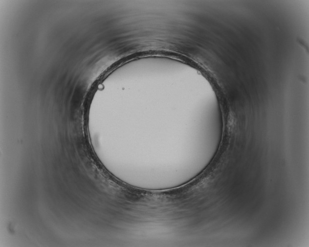 X0000103900877200809191236