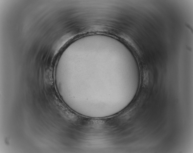 X0000103900878200809191236