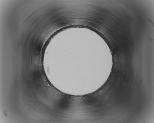 X0000103900880200809191236
