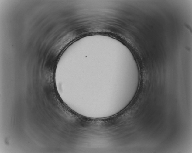 X0000103900881200809191236