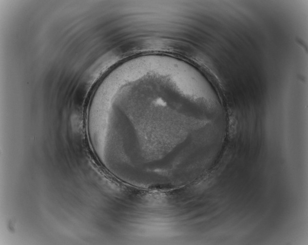 X0000103900882200809191236